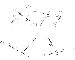 Apex Legends